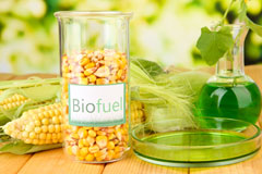 Carfury biofuel availability