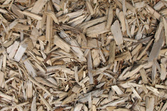 biomass boilers Carfury